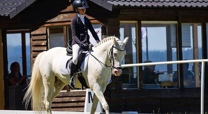 Pomáháme uzdravit Kalimera, sportovního poníka a mistra ve všestrannosti  